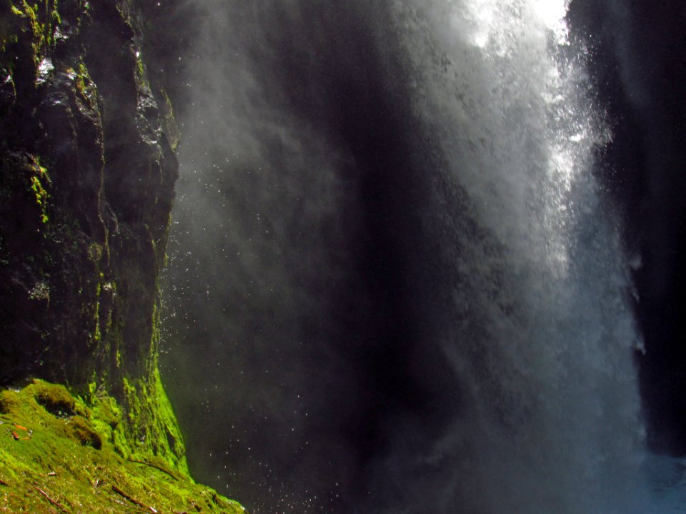 Falls Creek Falls Trail in WA