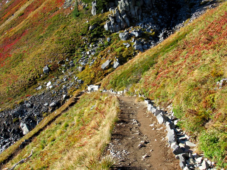 Autumn at Golden Gate Trail at Mt. Rainier NP in WA