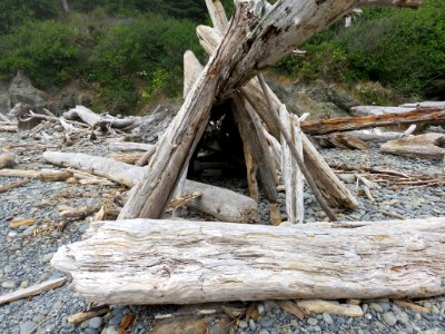 Ruby Beach at Olympic National Park in WA