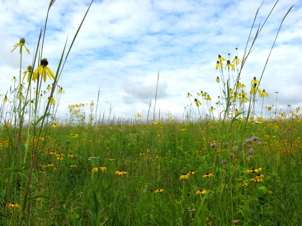 St. Croix Wetland Management District Spring Meadows WPA prairie photo