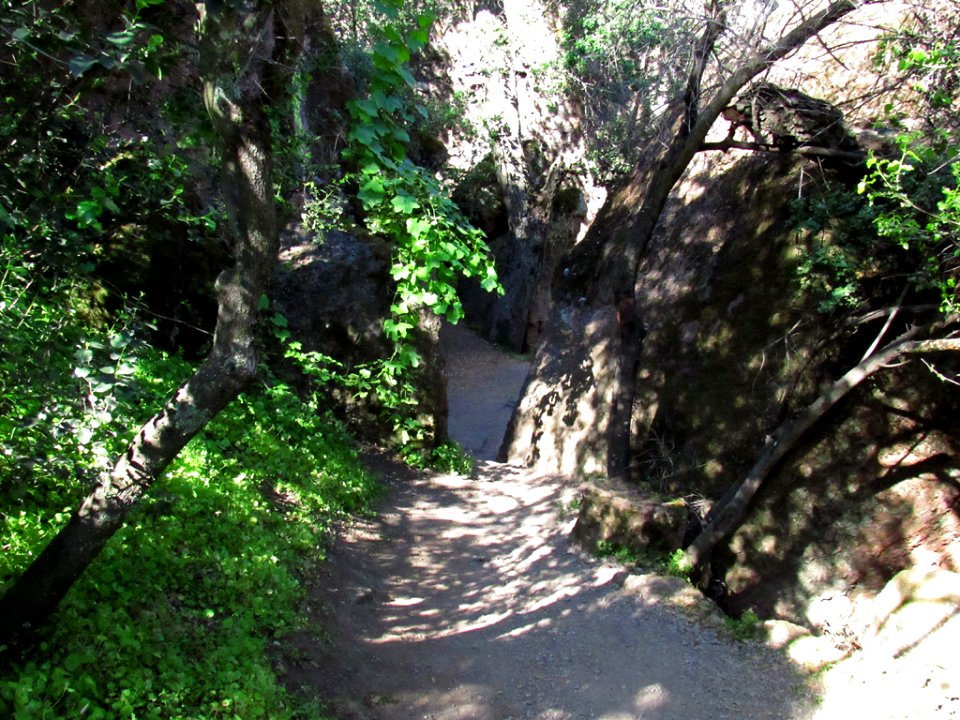 Pinnacles NP in CA