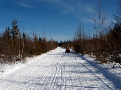 February 2010 Lynx Tracking