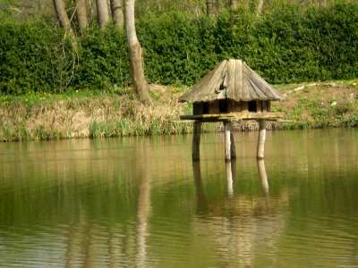 Garden of Silence, Taizé