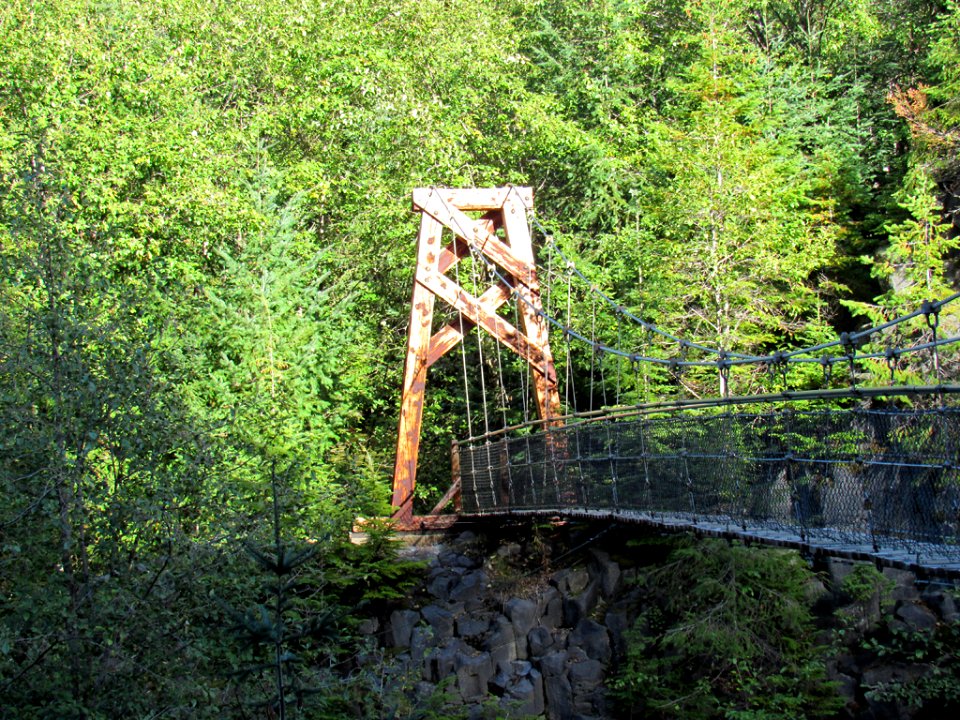 Suspension Bridge on Lava Canyon Trail in Washington