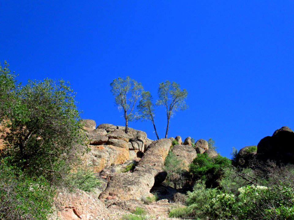Pinnacles NP in CA