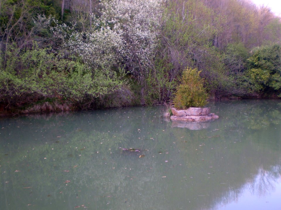 Lake in the Silent Garden, Taizé