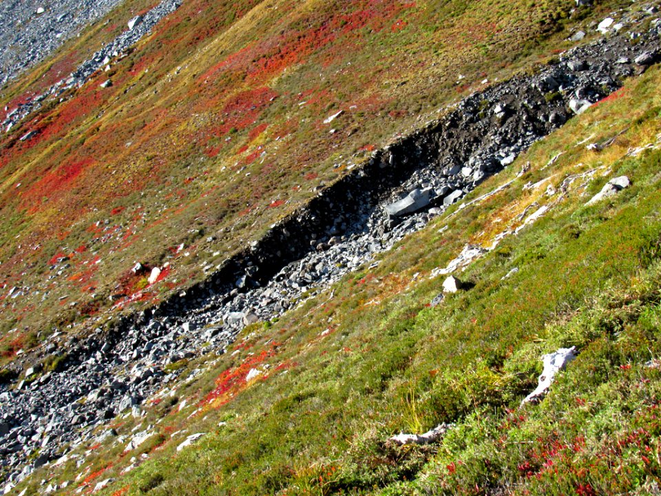Autumn at Golden Gate Trail at Mt. Rainier NP in WA