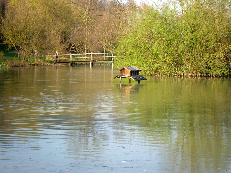 Lake in the Silent Garden, Taizé