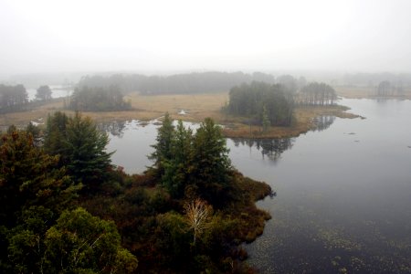 Misty day at Seney National Wildlife Refuge photo