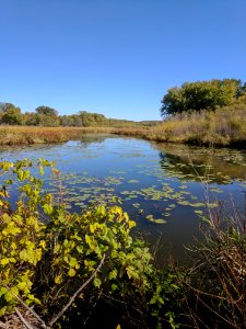 Wetland at Minnesota Valley National Wildlife Refuge