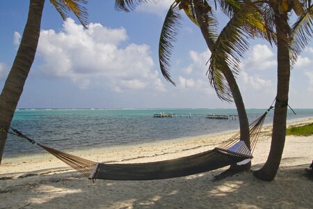 Caribbean water ocean photo