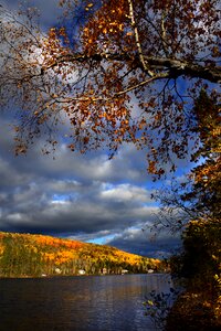 Sky colors trees photo