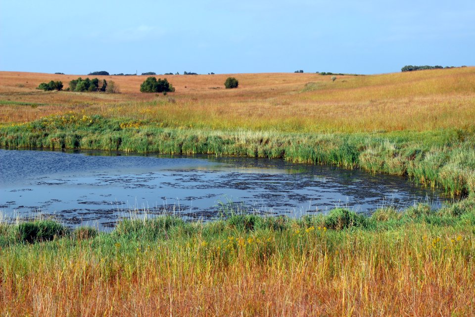 Fall on the prairie