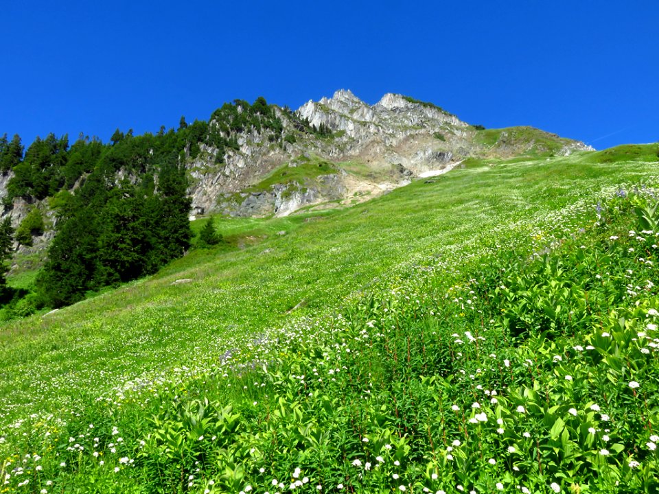 Hidden Lake Trail at North Cascades NP in WA