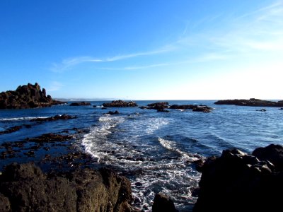 Cobble Beach at Yaquina Head in OR