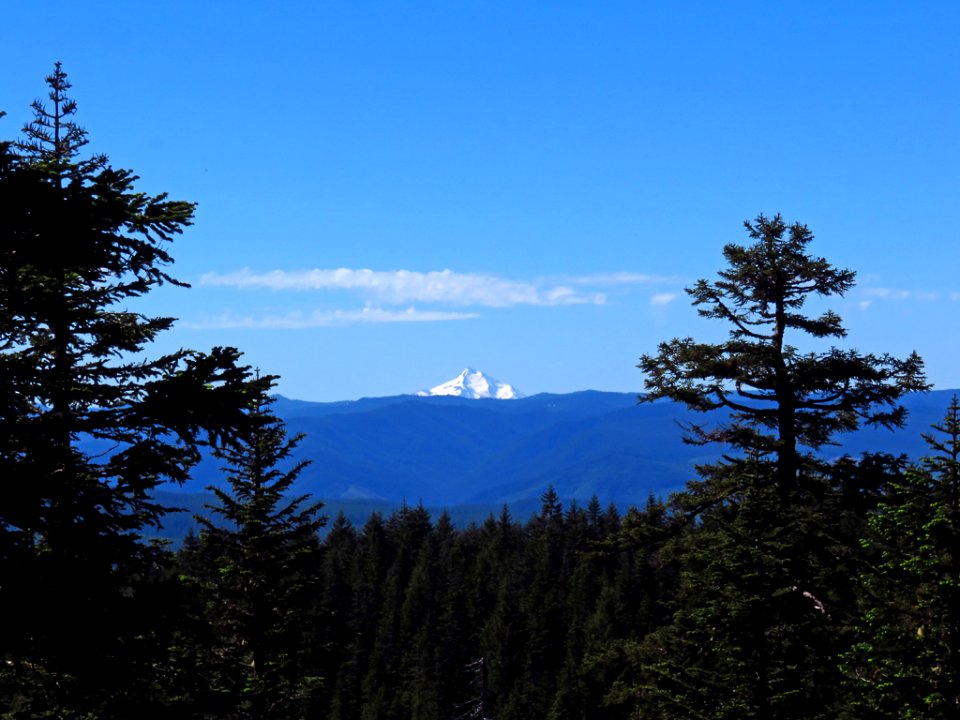 Mt. Jefferson from Larch Mountain in Oregon
