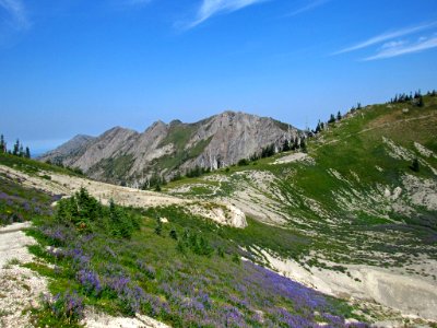 Mt. Margaret Backcountry in WA