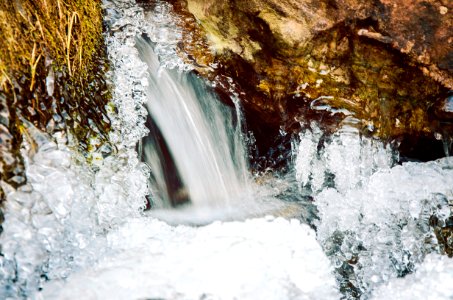 frozen fall