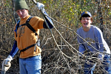 clearing brush photo