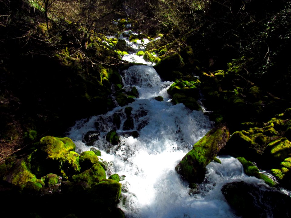 Falls Creek Falls Trail in WA