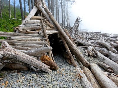 Ruby Beach at Olympic National Park in WA