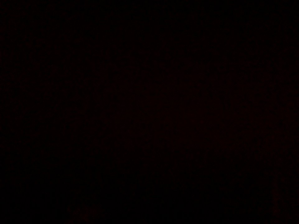 IMG 0235