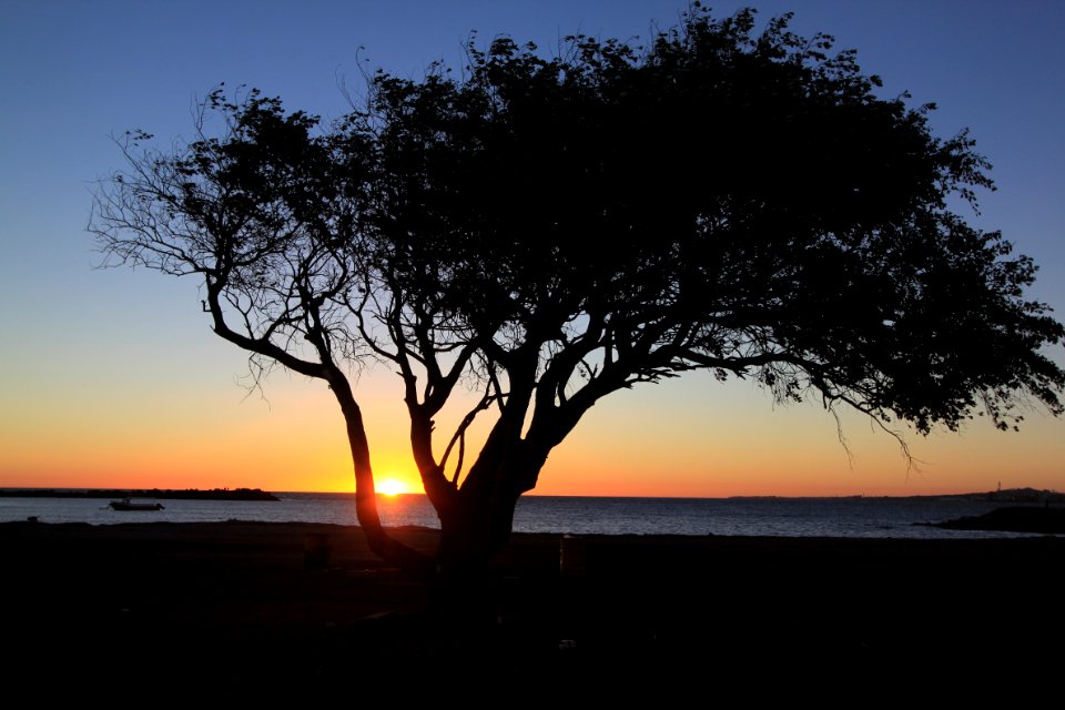 Montevideo