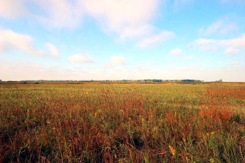 Jim Gritman Waterfowl Production Area
