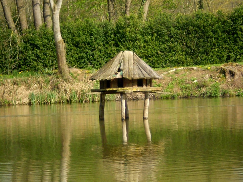Garden of Silence, Taizé