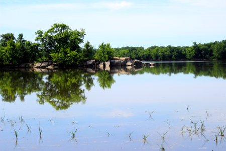 Louisville Swamp, Minnesota Valley National Wildlife Refuge photo