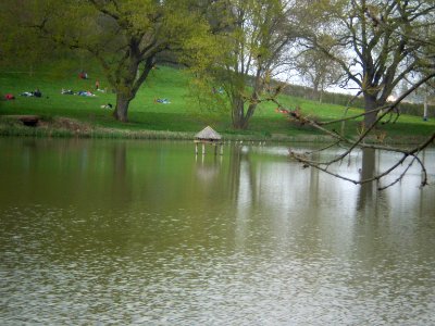 Garden of Silence, Taizé