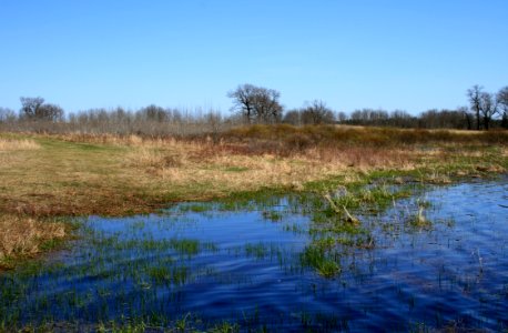 Necedah Wetland