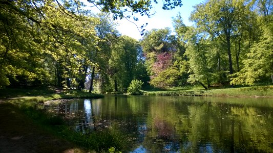 Pond in Elswout