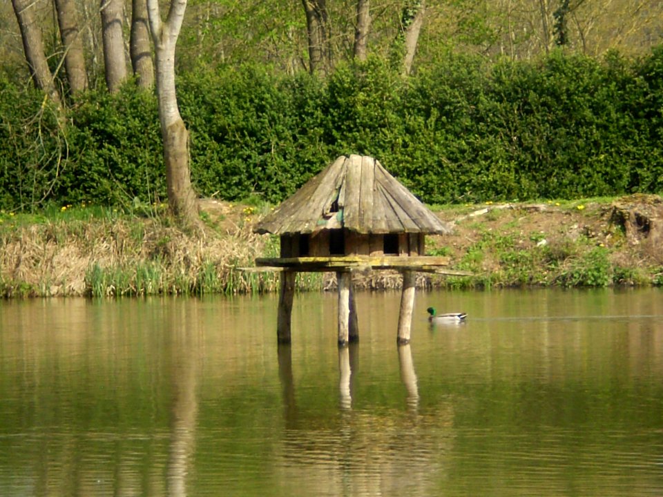 Garden of Silence, Taizé
