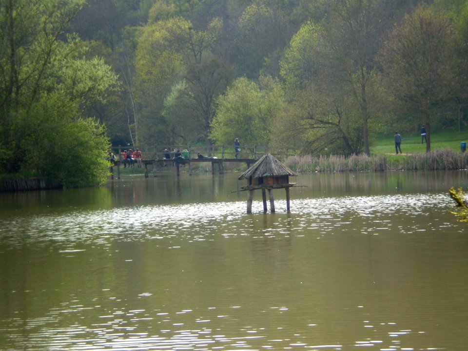 Garden of Silence, Taizé