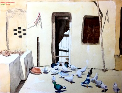 Pigeons & their Mudhouse photo