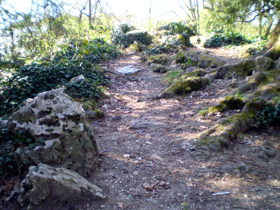 Jardin des Sciences de l´arquebuse, Dijon