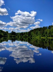 Reflections