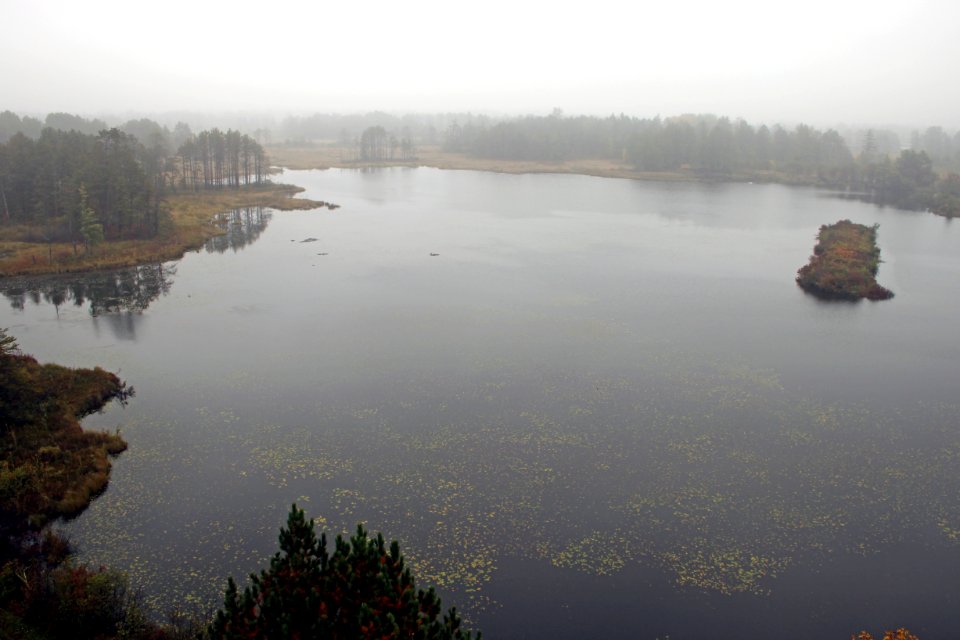Misty day at Seney National Wildlife Refuge