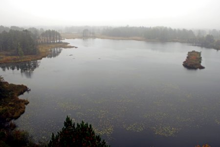 Misty day at Seney National Wildlife Refuge photo