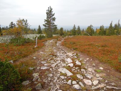 Nature autumn landscape