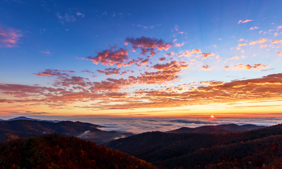 Fog Ocean Sunrise
