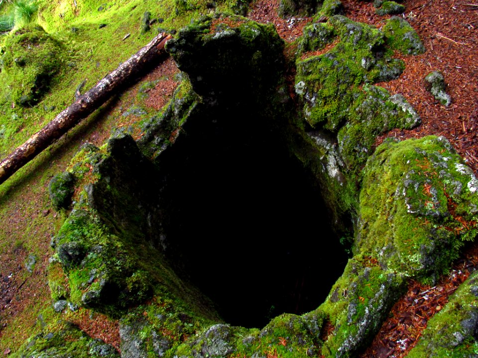 Lava Cast at Trail of Two Forests in WA