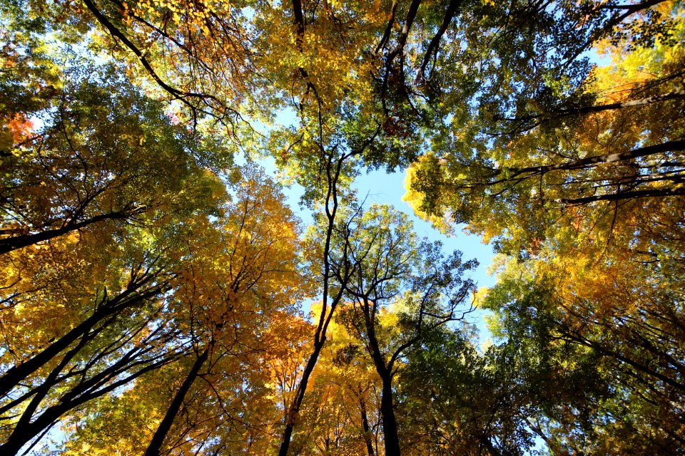 Fall Hiking