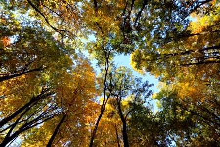 Fall Hiking