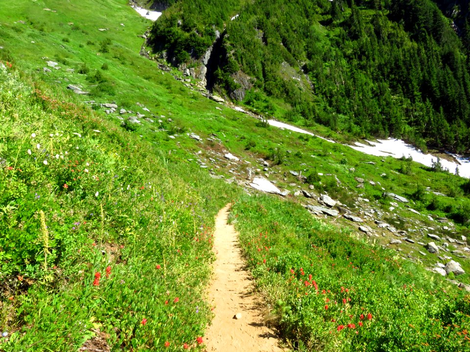 Hidden Lake Trail at North Cascades NP in WA