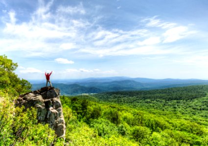 Celebrate Your Park! photo