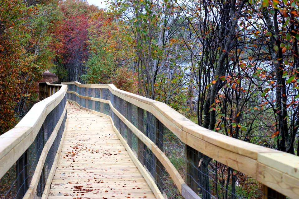 Nature Trail at Seney National Wildlife Refuge photo