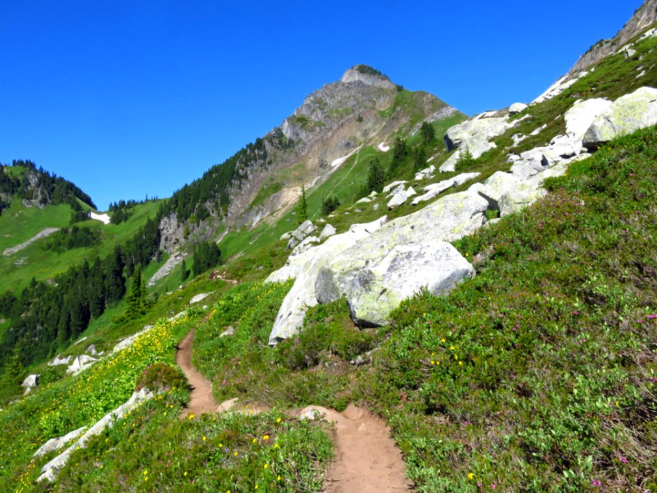 Hidden Lake Trail at North Cascades NP in WA