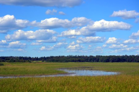 Sky Wetland photo